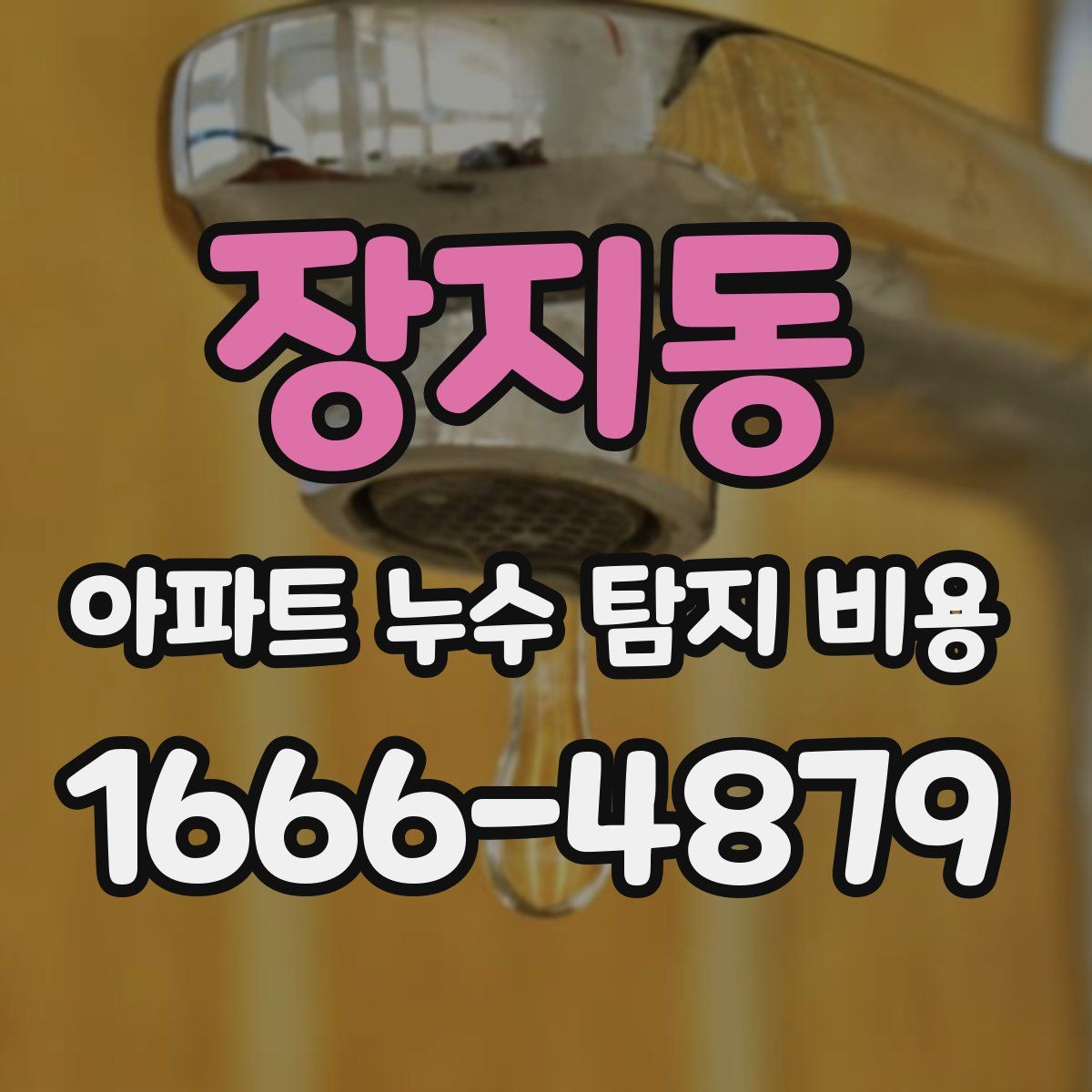 장지동 아파트 누수 탐지 비용