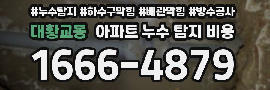 대황교동 아파트 누수 탐지 비용