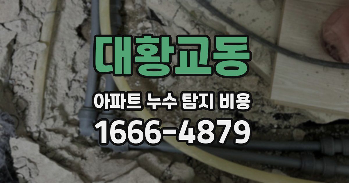 대황교동 아파트 누수 탐지 비용