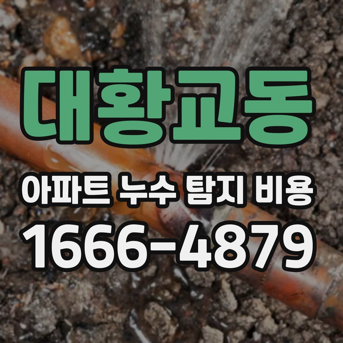 대황교동 아파트 누수 탐지 비용
