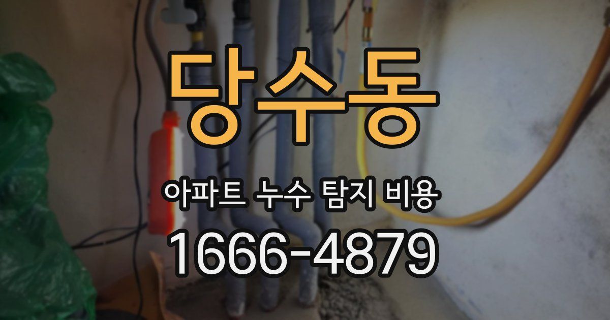 당수동 아파트 누수 탐지 비용