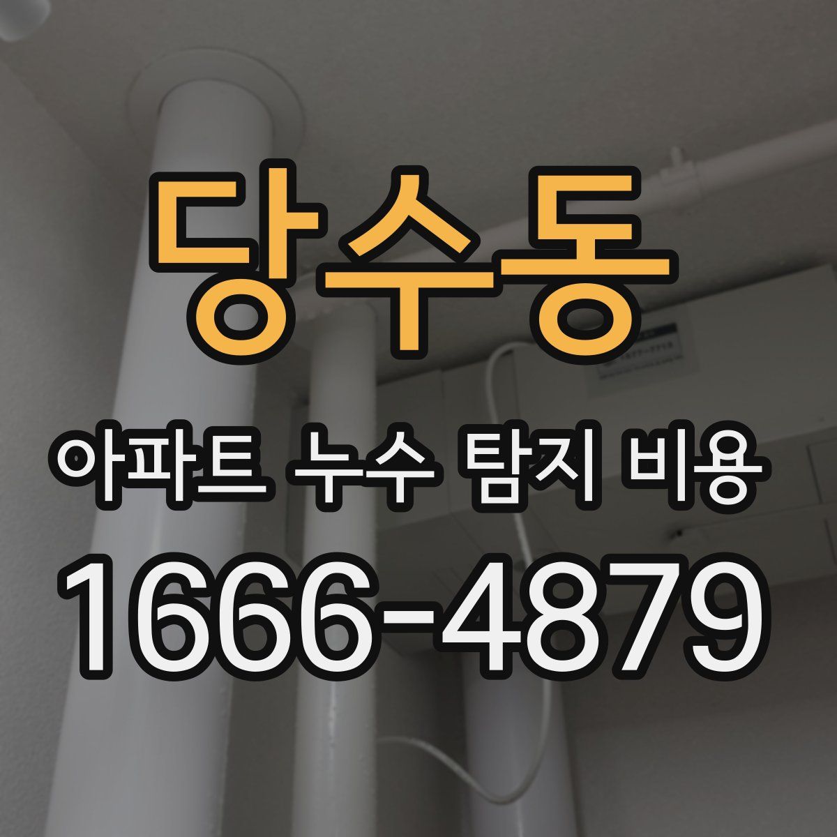 당수동 아파트 누수 탐지 비용