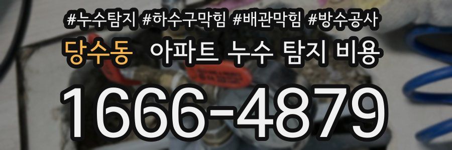 당수동 아파트 누수 탐지 비용