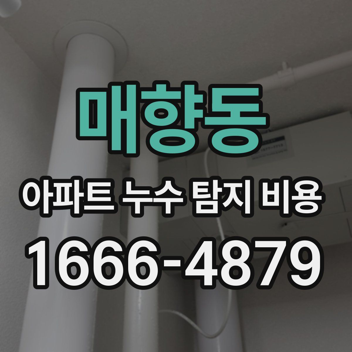 매향동 아파트 누수 탐지 비용