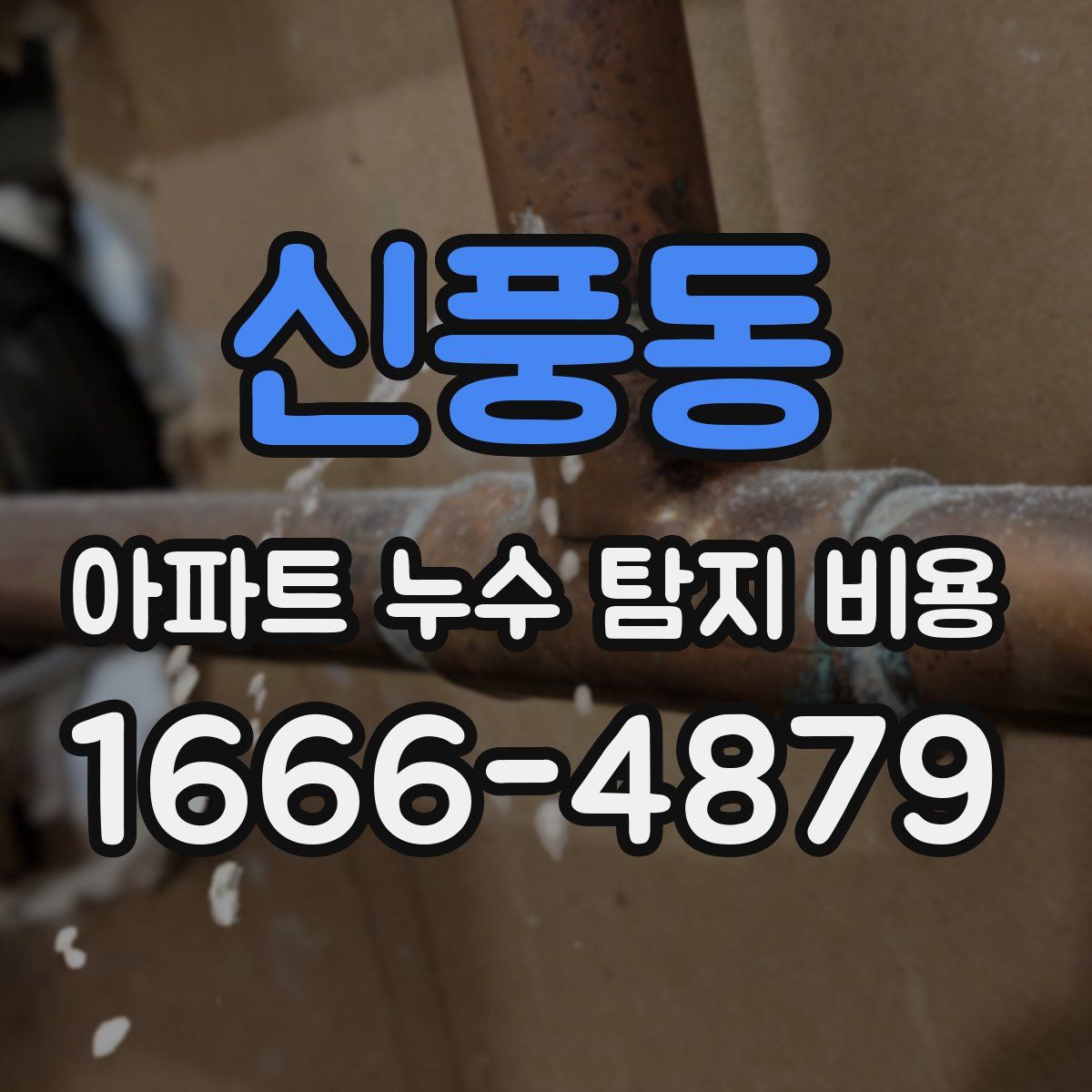 신풍동 아파트 누수 탐지 비용