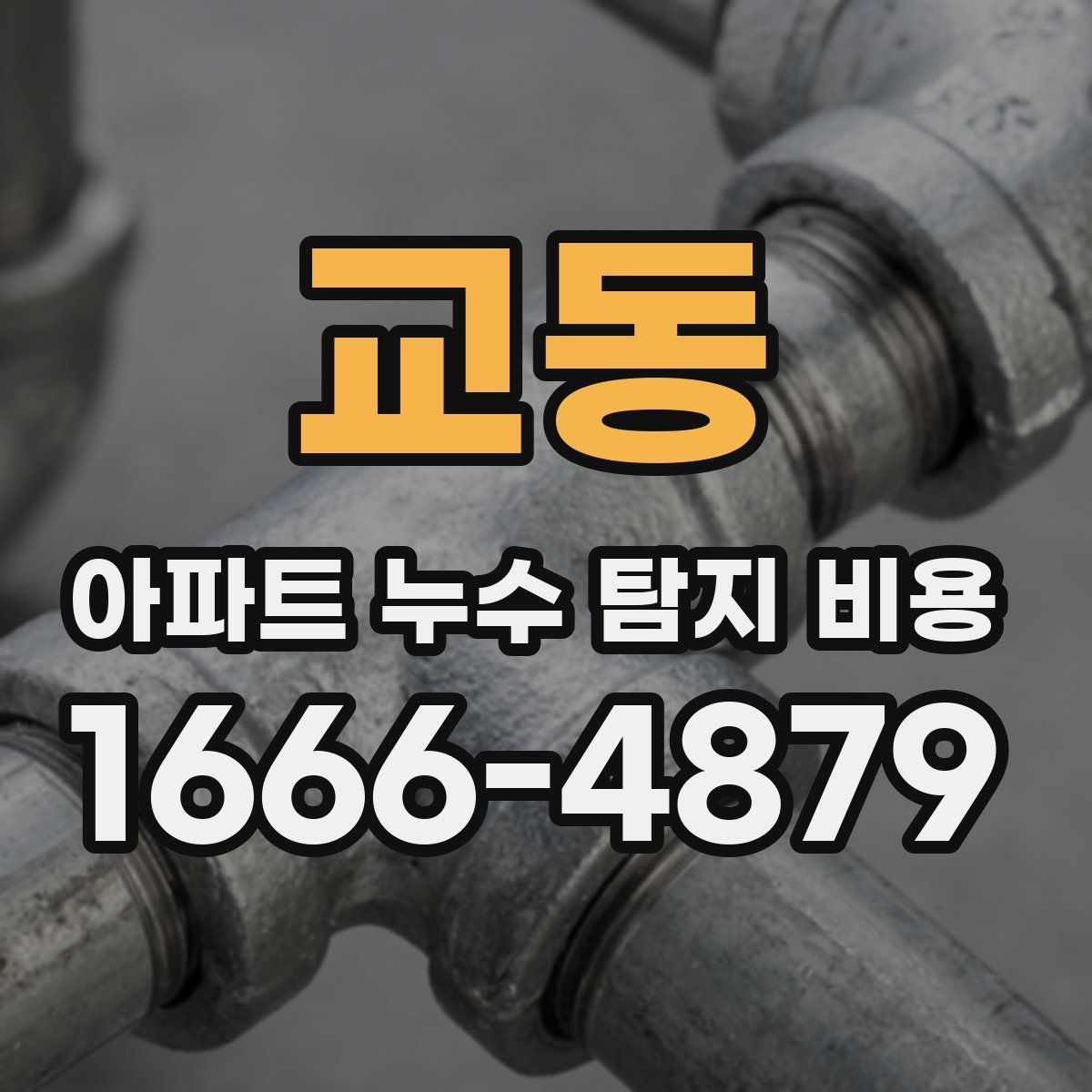 교동 아파트 누수 탐지 비용