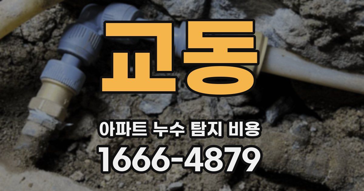 교동 아파트 누수 탐지 비용
