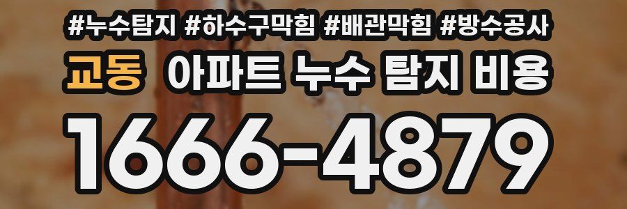 교동 아파트 누수 탐지 비용