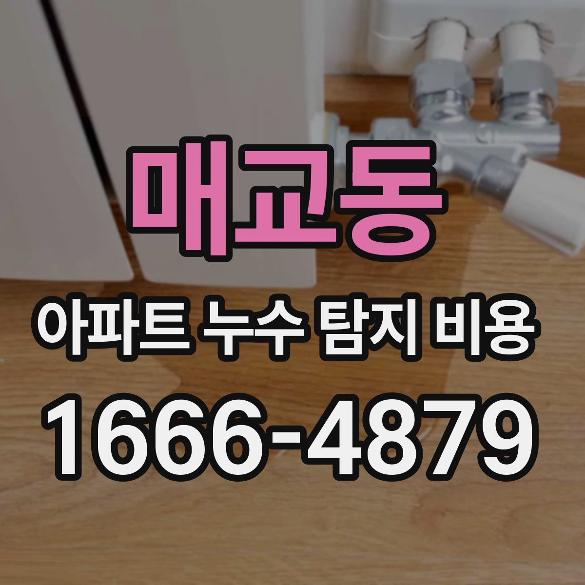 매교동 아파트 누수 탐지 비용