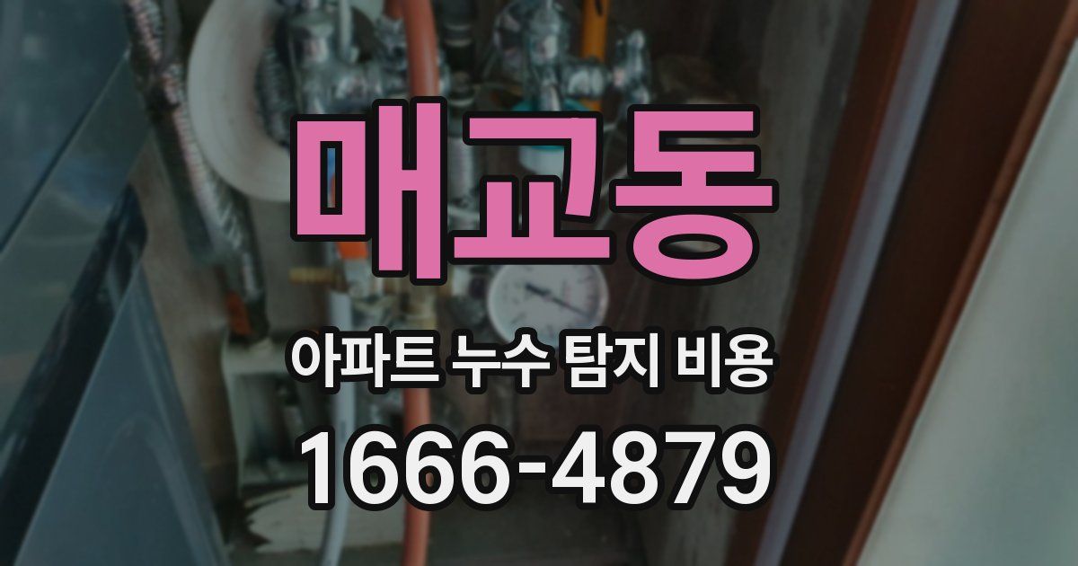 매교동 아파트 누수 탐지 비용