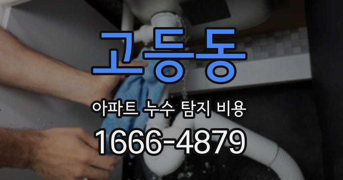고등동 아파트 누수 탐지 비용