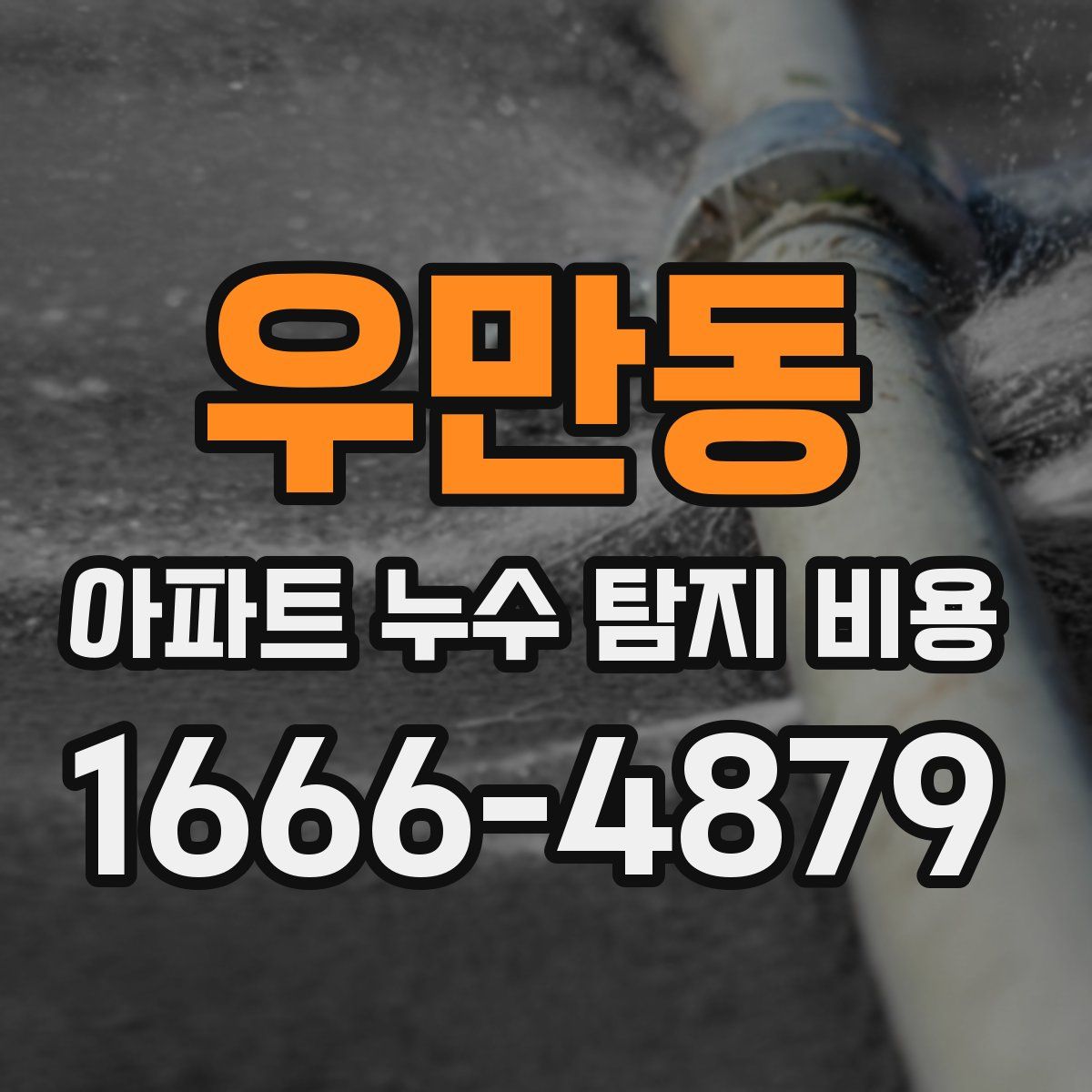 우만동 아파트 누수 탐지 비용