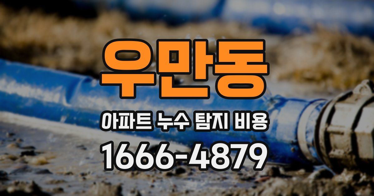 우만동 아파트 누수 탐지 비용