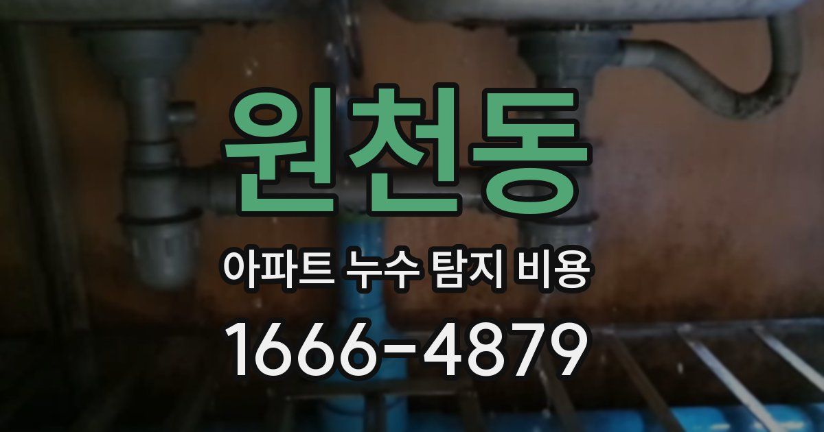 원천동 아파트 누수 탐지 비용
