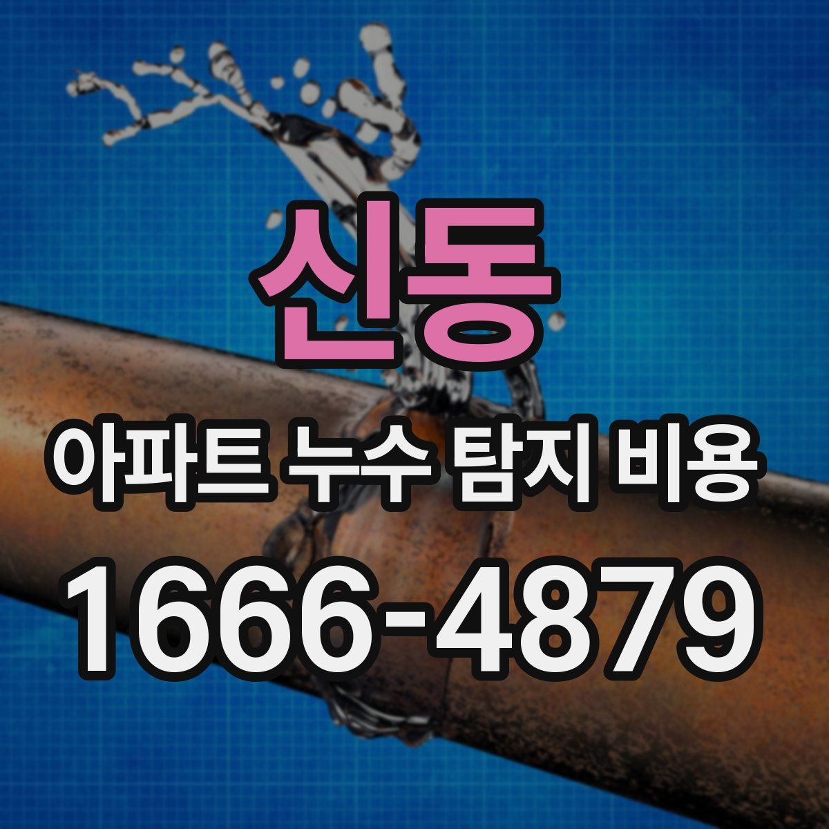 신동 아파트 누수 탐지 비용