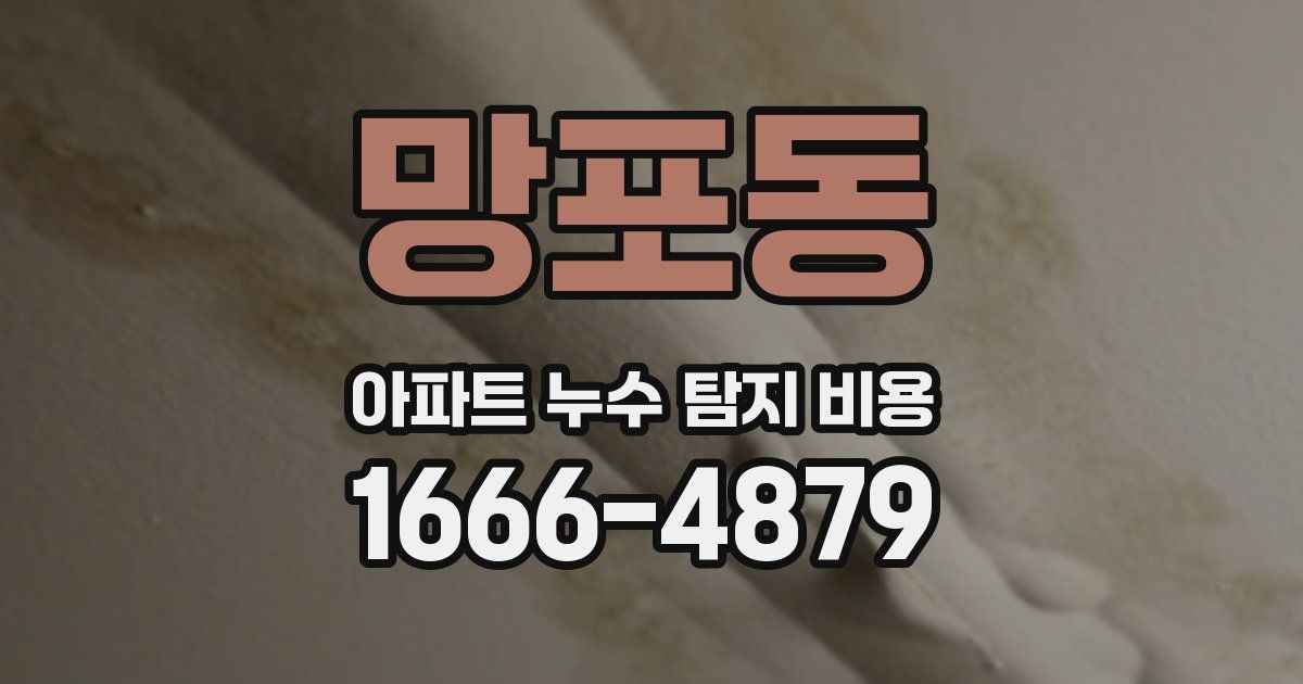 망포동 아파트 누수 탐지 비용