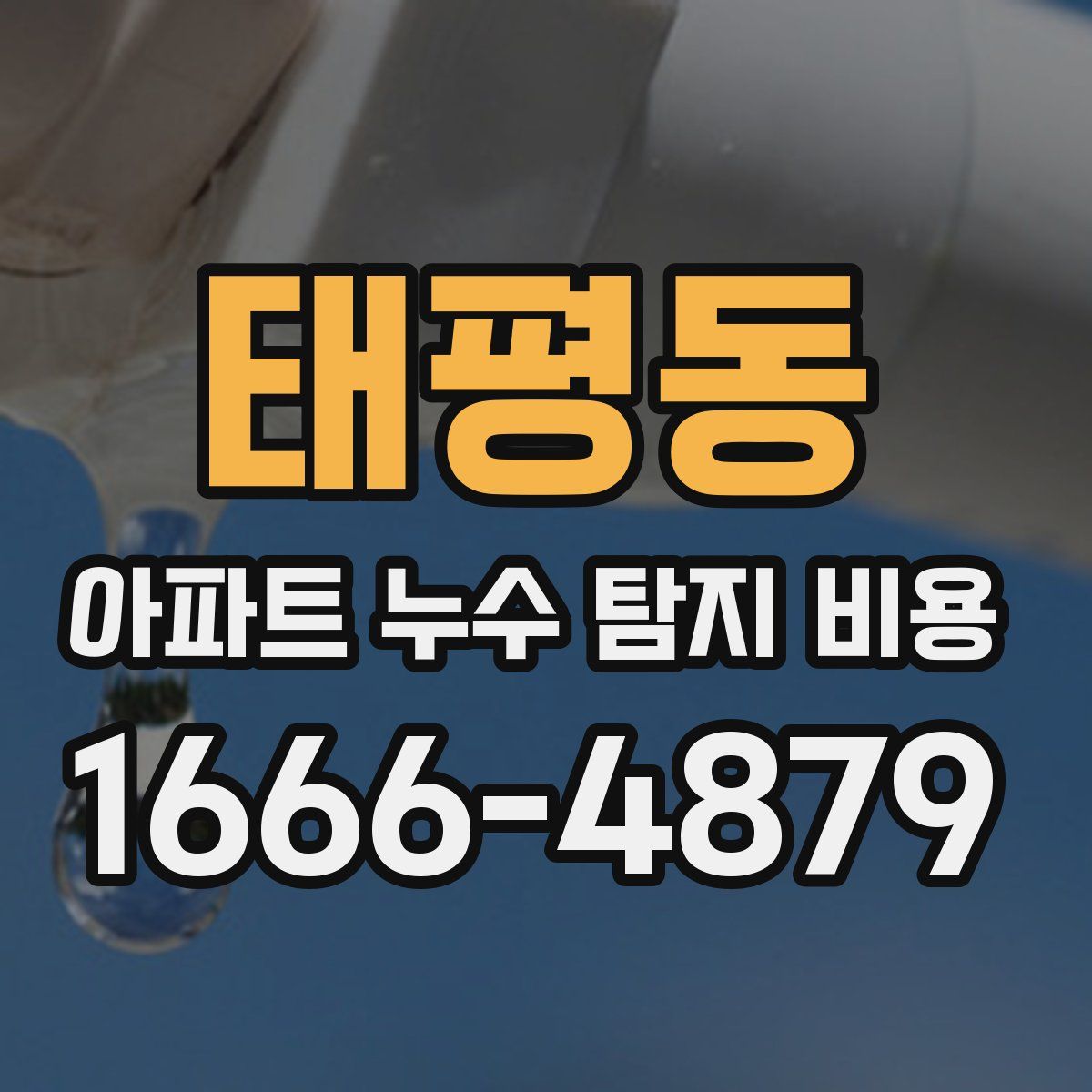 태평동 아파트 누수 탐지 비용