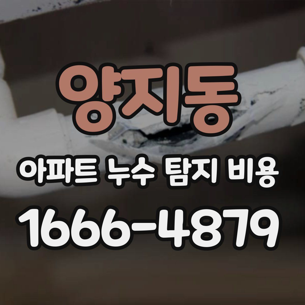 양지동 아파트 누수 탐지 비용