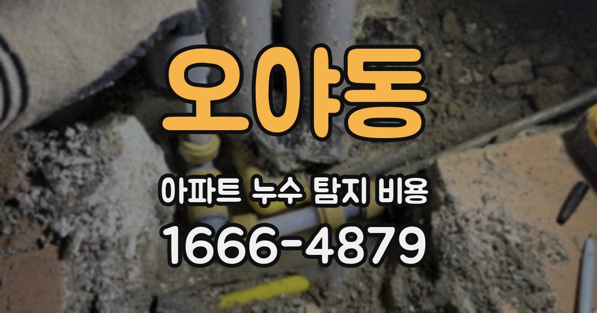 오야동 아파트 누수 탐지 비용