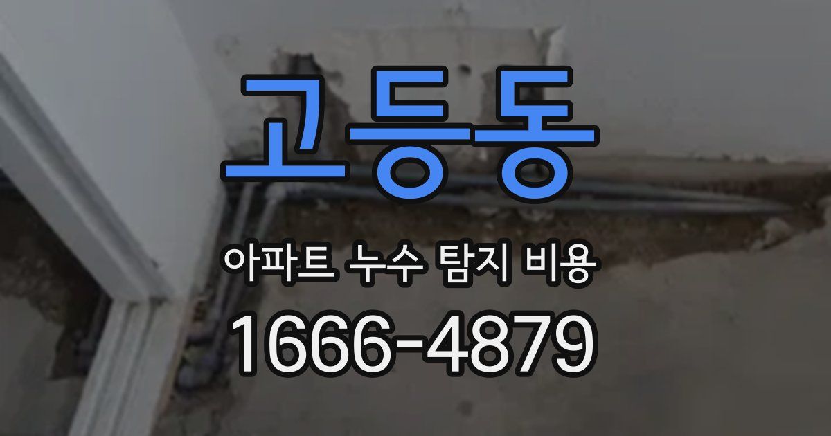 고등동 아파트 누수 탐지 비용
