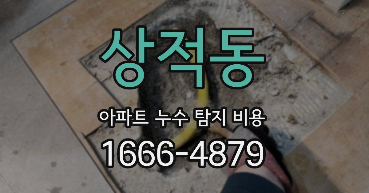 상적동 아파트 누수 탐지 비용