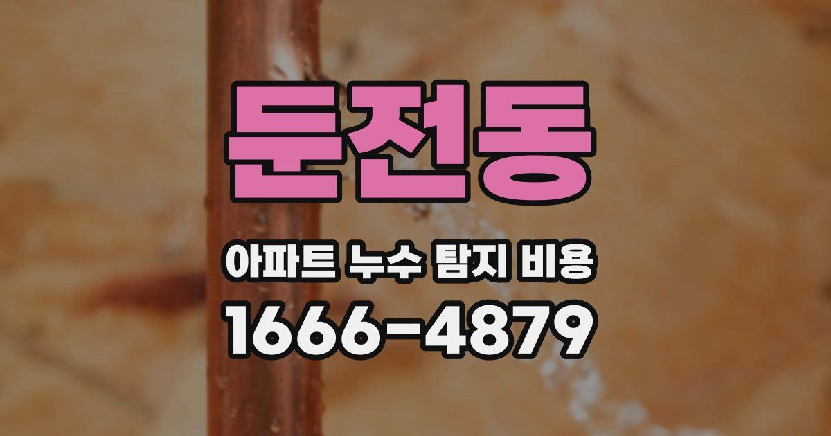 둔전동 아파트 누수 탐지 비용