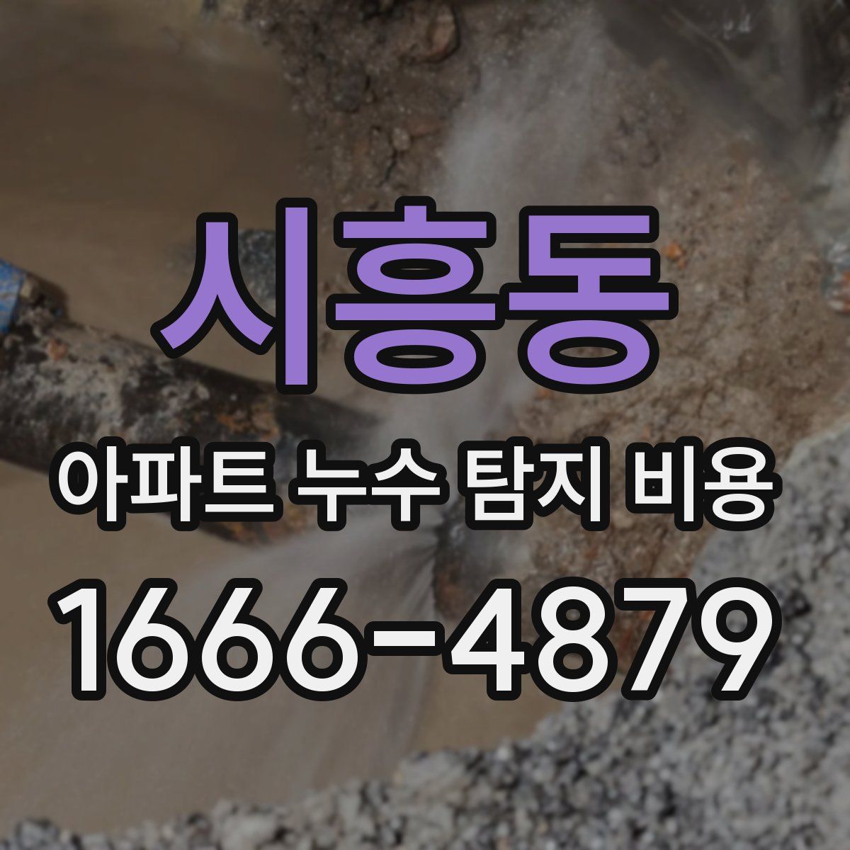 시흥동 아파트 누수 탐지 비용