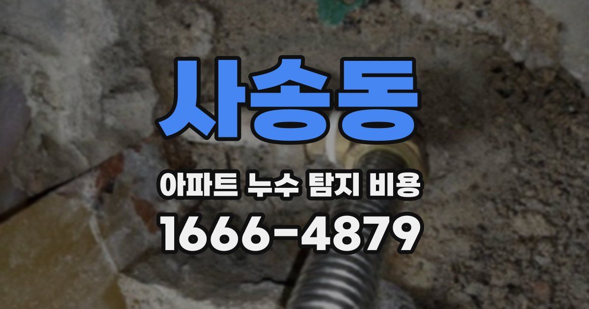 사송동 아파트 누수 탐지 비용