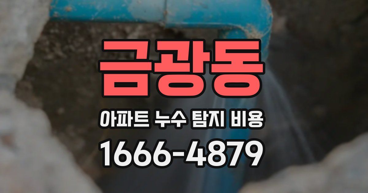 금광동 아파트 누수 탐지 비용
