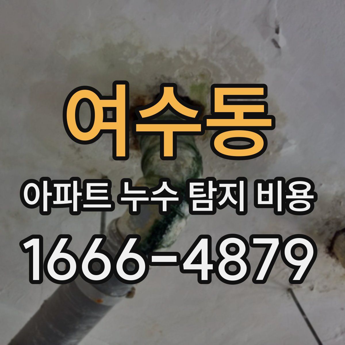 여수동 아파트 누수 탐지 비용
