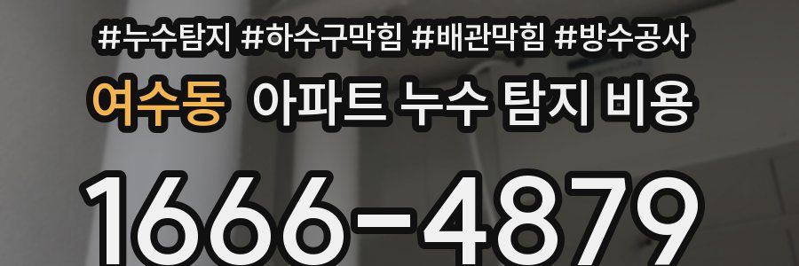 여수동 아파트 누수 탐지 비용