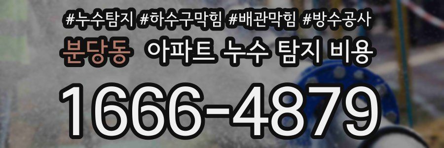 분당동 아파트 누수 탐지 비용
