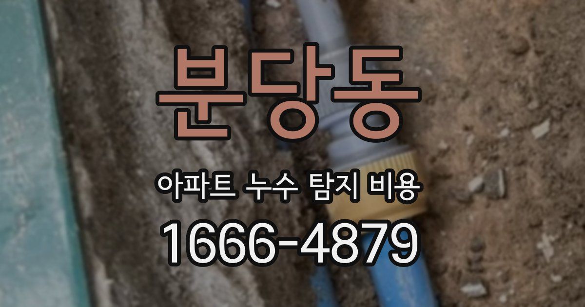 분당동 아파트 누수 탐지 비용