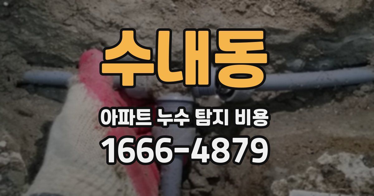 수내동 아파트 누수 탐지 비용