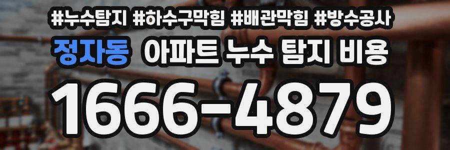 정자동 아파트 누수 탐지 비용
