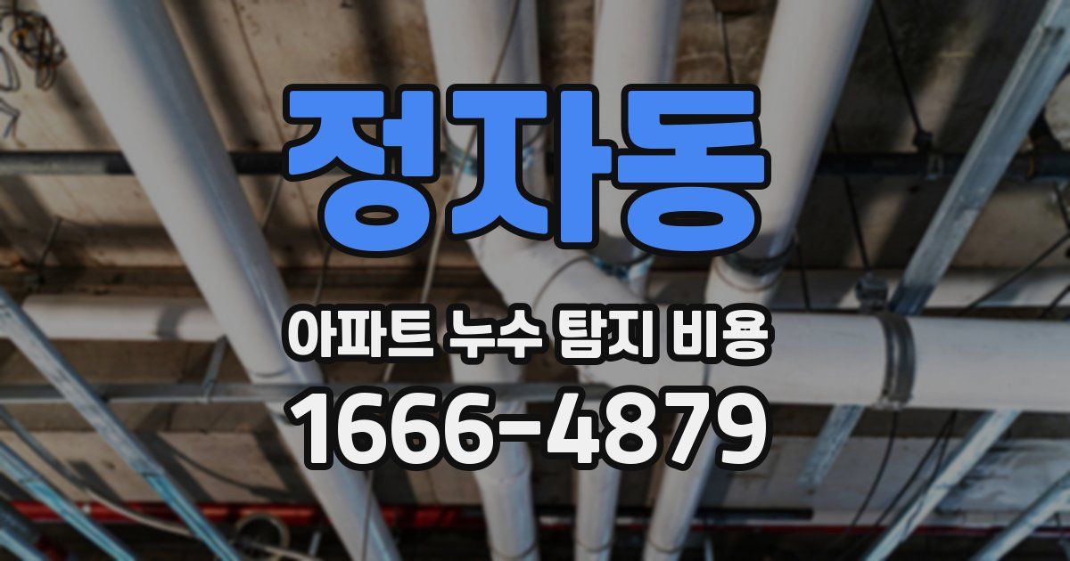 정자동 아파트 누수 탐지 비용