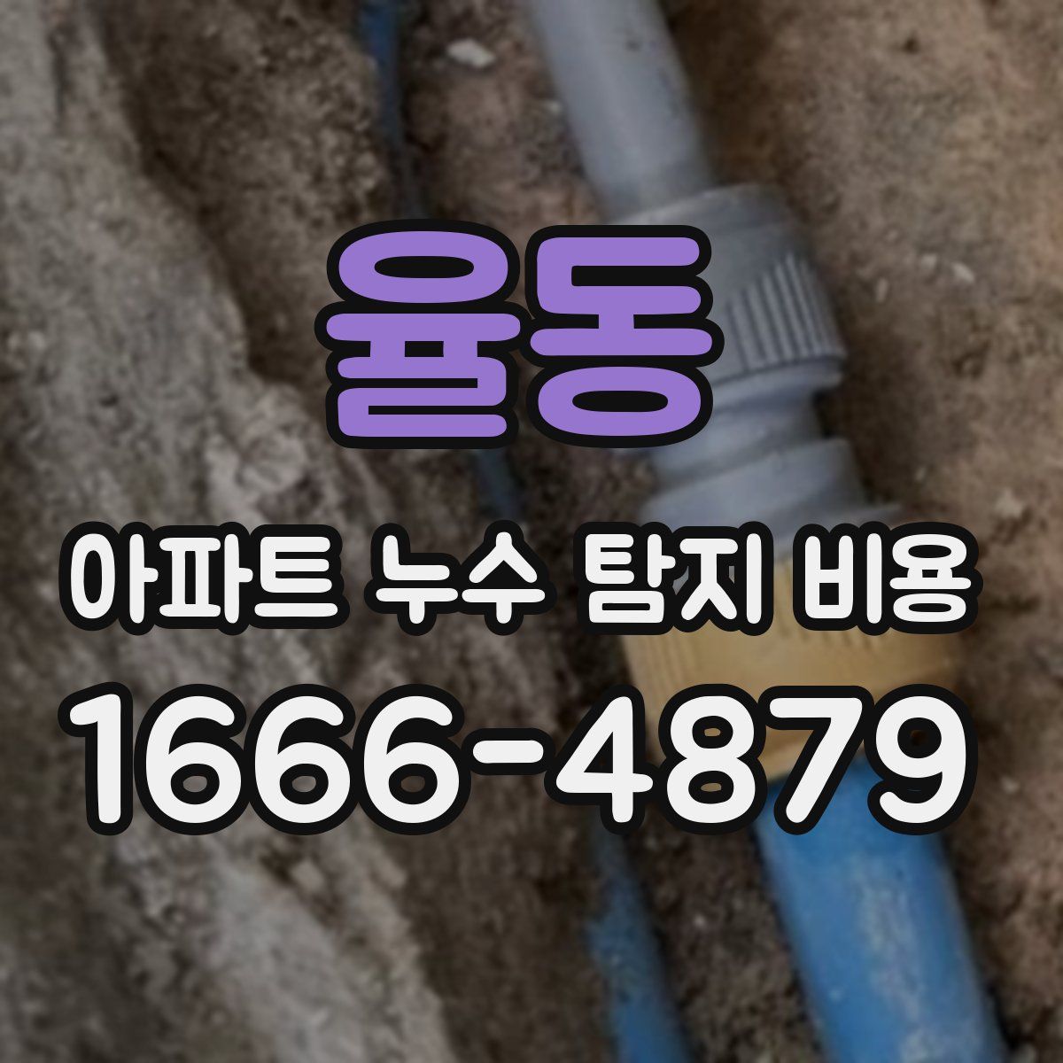 율동 아파트 누수 탐지 비용