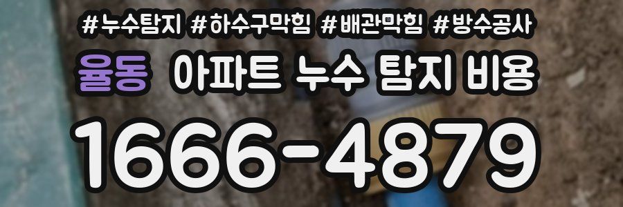 율동 아파트 누수 탐지 비용
