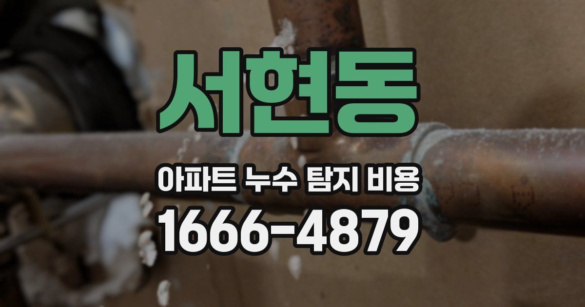 서현동 아파트 누수 탐지 비용