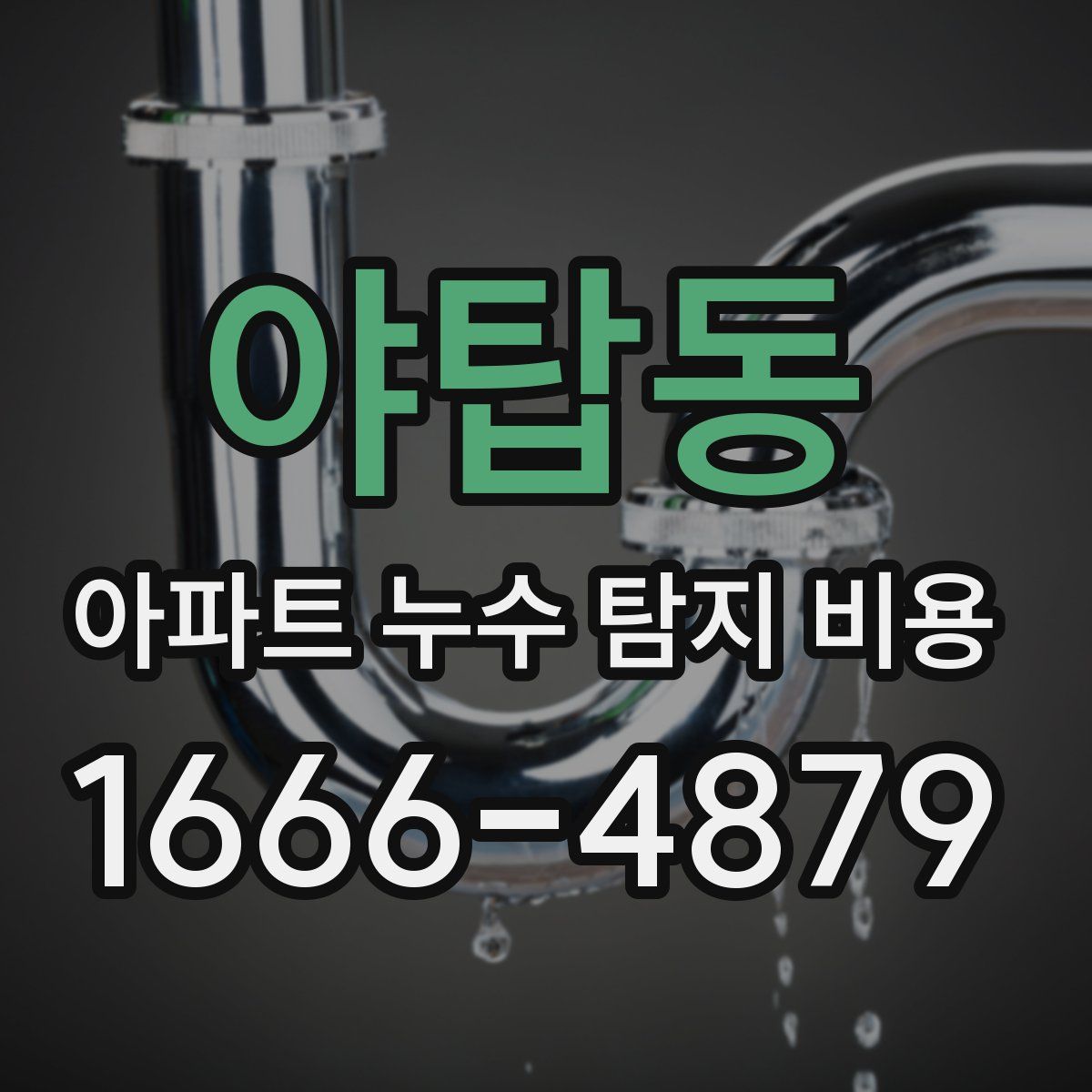 야탑동 아파트 누수 탐지 비용