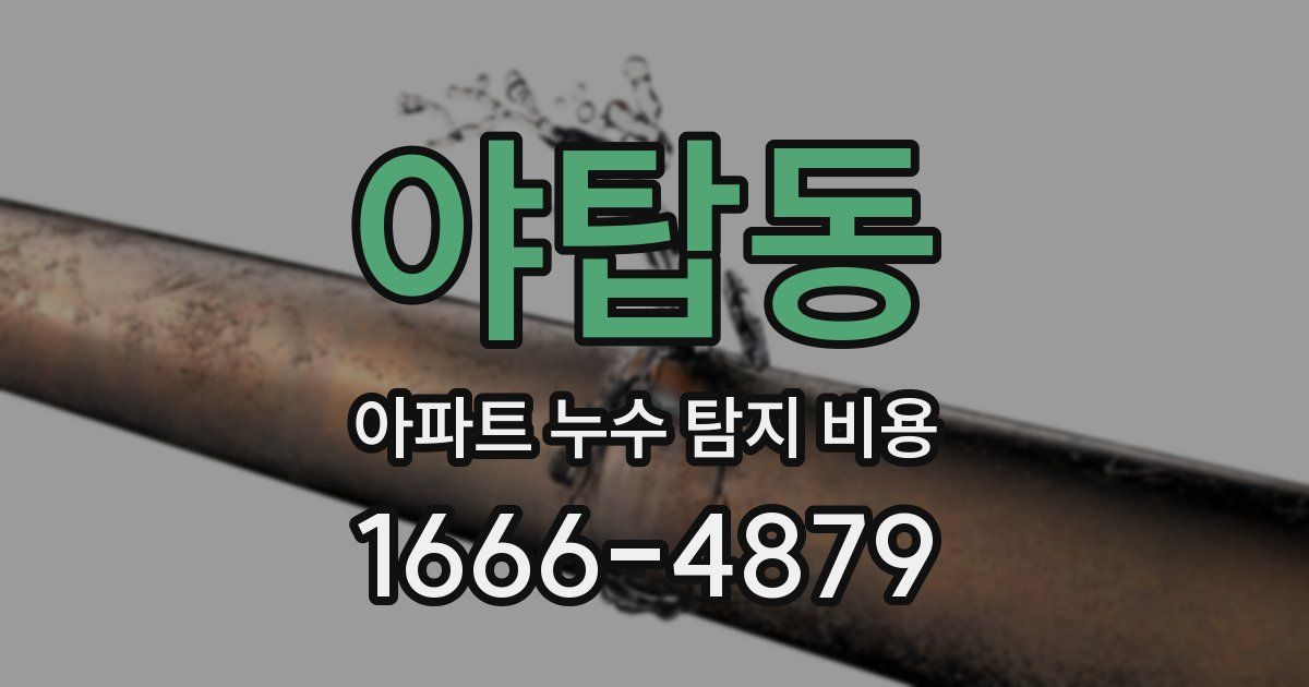 야탑동 아파트 누수 탐지 비용