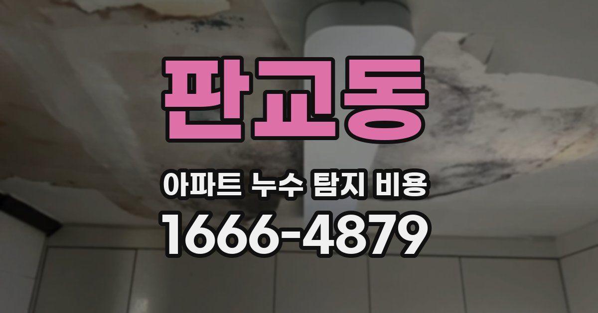 판교동 아파트 누수 탐지 비용