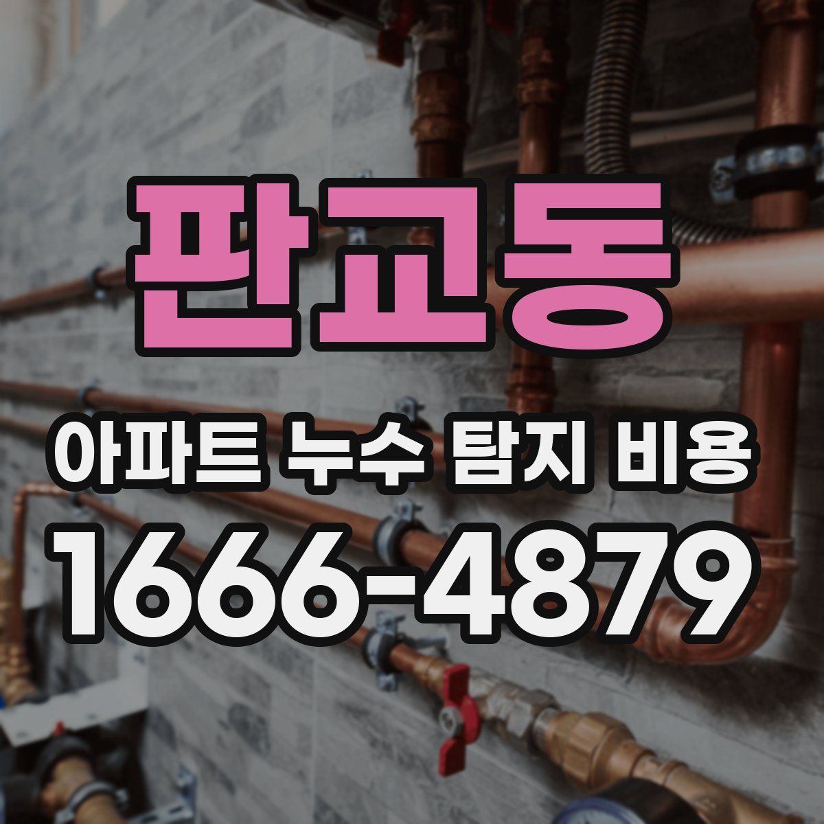 판교동 아파트 누수 탐지 비용
