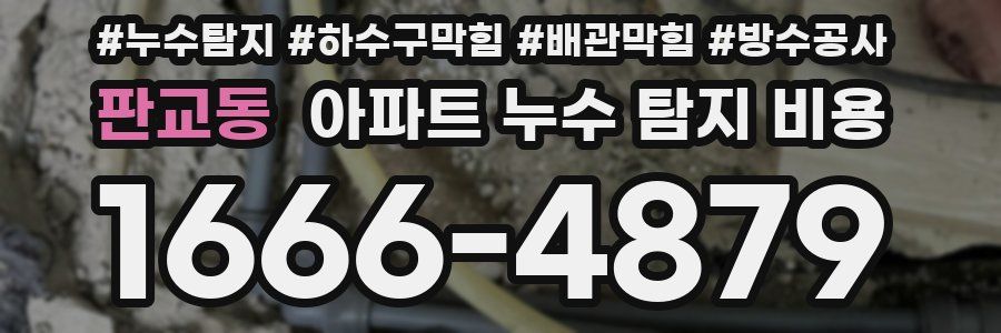 판교동 아파트 누수 탐지 비용
