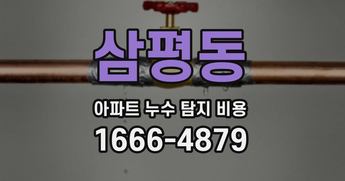 삼평동 아파트 누수 탐지 비용