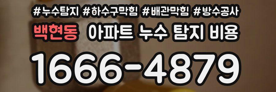 백현동 아파트 누수 탐지 비용