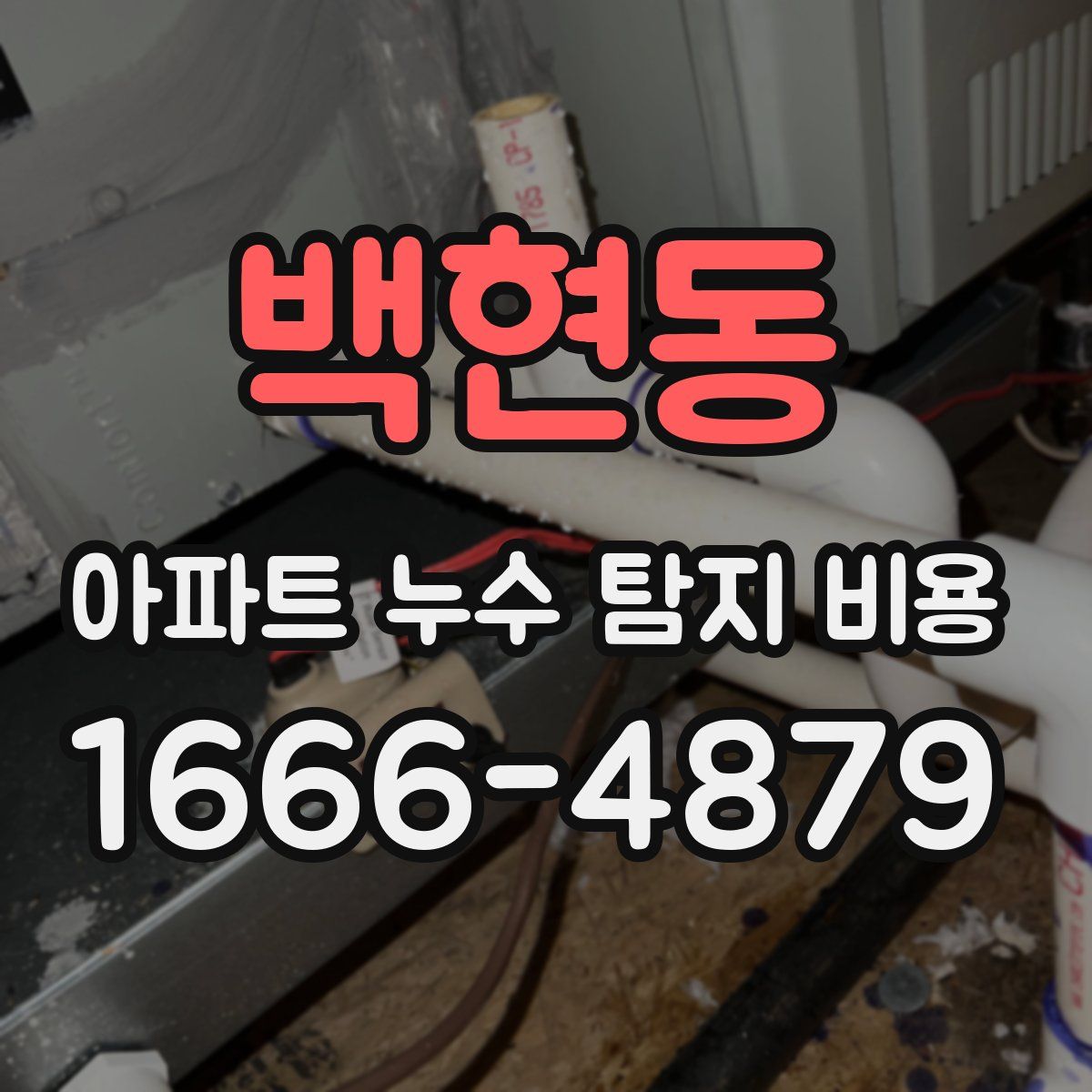 백현동 아파트 누수 탐지 비용