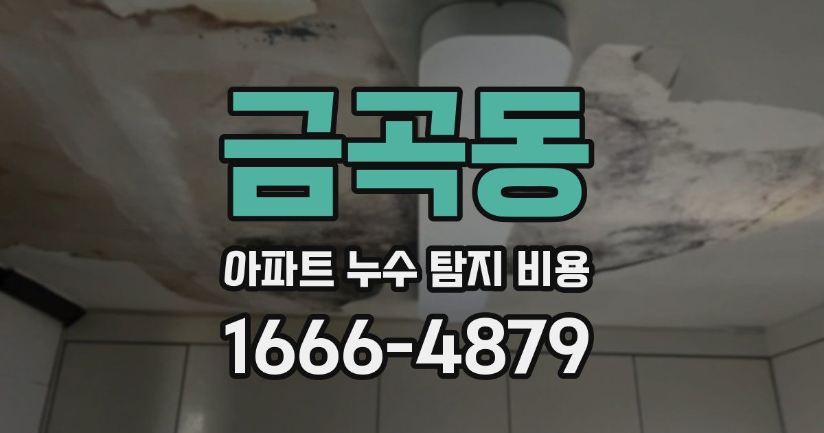 금곡동 아파트 누수 탐지 비용