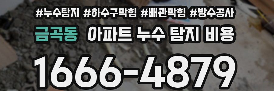 금곡동 아파트 누수 탐지 비용