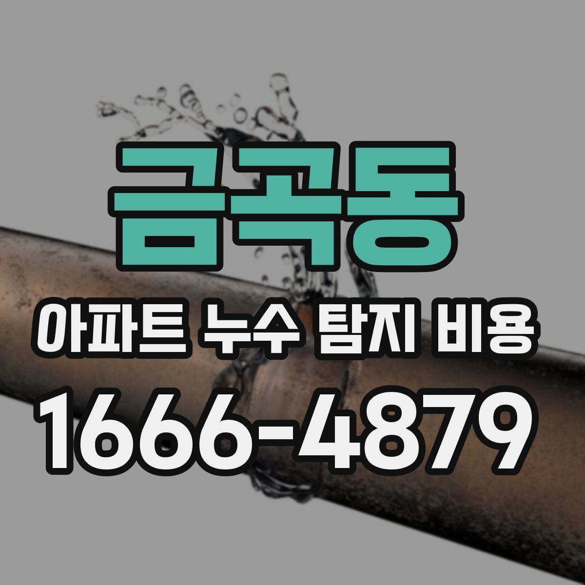금곡동 아파트 누수 탐지 비용